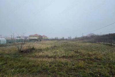 COMISION 0 | Teren intravilan | 1409 mp | Zona Dumbravi?a - 2