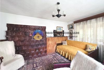 Casa traditionala Bodesti - 6