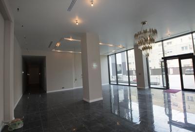 Apartament  cu 5 camere in complex exclusivist, langa Parcul Herastrau - 15