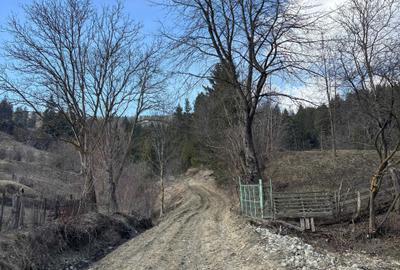 Spațiu comercial, în Ceahlău - 5