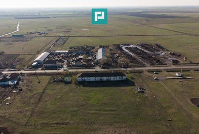 Hală industrială cu teren generos în Zărand, Arad - 45