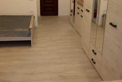 Garsonieră decomandată în Costin Georgian - 2