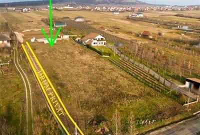 RECO Teren intravilan  langa padure-PUZ  aprobat -Betfia, aproape de Baile Felix - 6