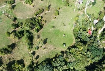 Teren de 10000 mp, în Răchițele - 8