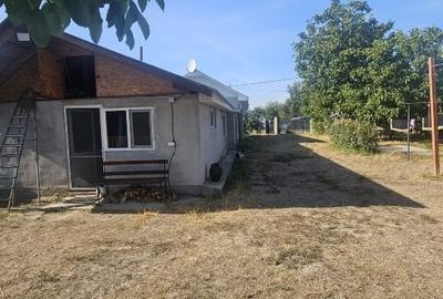 Proprietate imobiliara casa și teren în Criva de Sus - 12