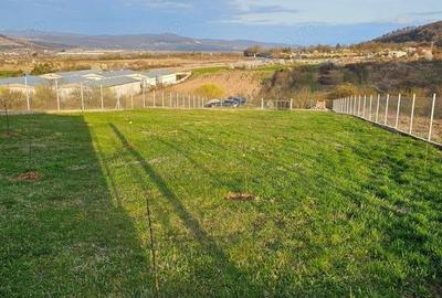 Teren intravilan cu proiect constructie casa, situat in Mintia - 12