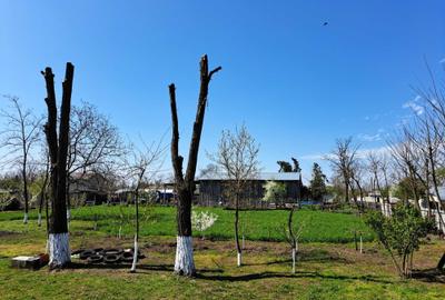 Casă cu 3 camere în Gemenele - 2