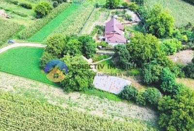 TEREN intravilan GIROV 4133 mp - 10