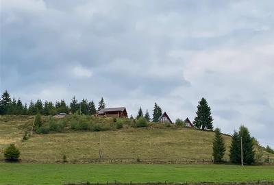 RECO Teren intravilan in Arieseni 1700mp cu Utilitati - 3