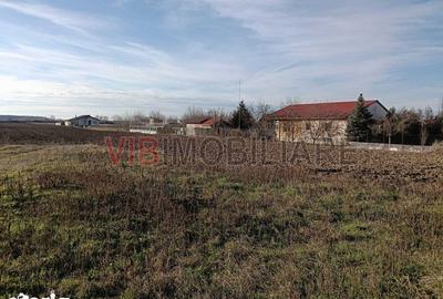 Teren de 16600 mp, în Bucovăț - 5