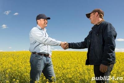 Spațiu comercial, în Gătaia