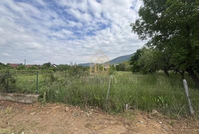 Teren de 3700 mp, în Valea Borcutului - 8
