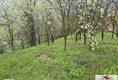 Spațiu comercial, în Straja - 2