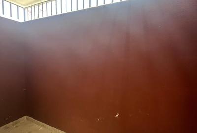 Apartament 2 camere la Demisol. Direct Dezvoltator! - 5