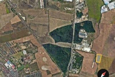 Teren de 10000 mp, în Exterior Sud - 6