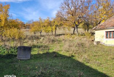 Teren de 10143 mp, în Bâlc - 3