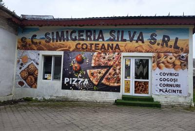 Spațiu comercial, de 90 mp, în Coteana - 8