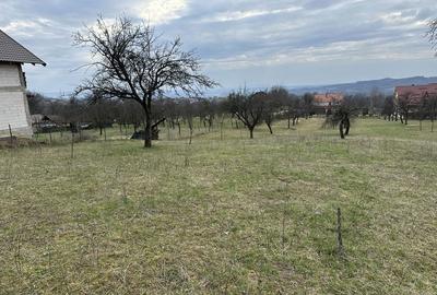 Spațiu comercial, în Baia Sprie - 1