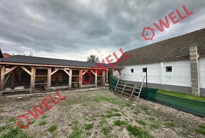 Casă cu 3 camere cu Teren 1494 Mp în Chichiș - 9