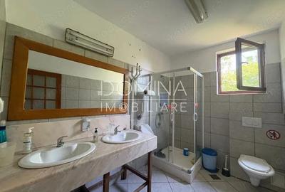 Vanzare complex industrial *hala 682 mp + teren 2,5 ha* - Tetila - 6