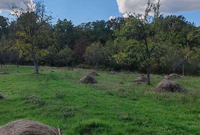 Teren de 5541 mp, în Central - 1