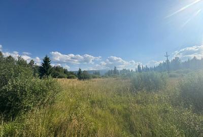 12700 mp investitie rezidentiala- turistica- medicala Tinovul Mic/Șaru Dornei - 5