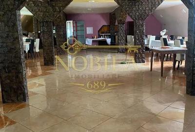 Spațiu comercial, de 1,000 mp, în Dofteana