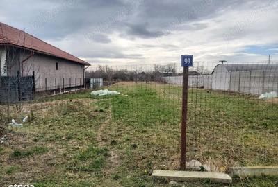 Teren de 1427 mp, în Șiria - 5