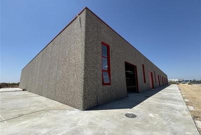 Vanzare depozit/spatiu industrial/hala Chitila - Rudeni, ILFOV - 10
