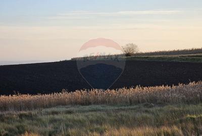 Teren agricol extravilan de 30077 mp, în Stroiești - 4