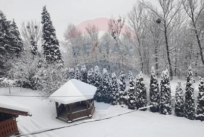 Hotel / Pensiune cu 6 camere de vânzare - 1