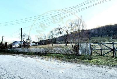 Teren Construcții intravilan de 2852 mp, în Drăganu-Olteni