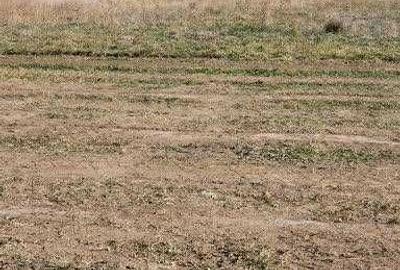 Teren de 1700 mp, în ICIL - 1