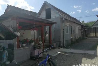 Casă cu 3 camere în Abuș - 2