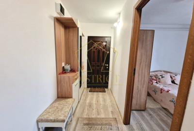 Apartament cu 3 camere semidecomandat, mobilat în Șagului - 13