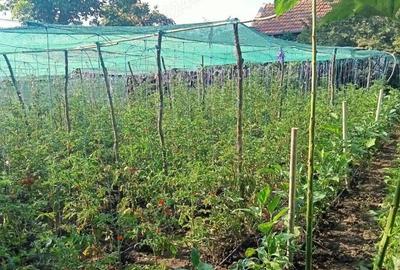 Casa la ?ara ?i teren generos Casa la ?ara ?i teren generos - 3