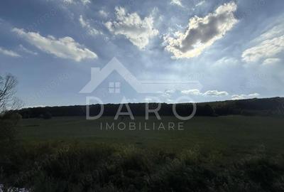 Teren intravilan budiu mic 9700 m2, perfect pentru complex reziden?ial - 3