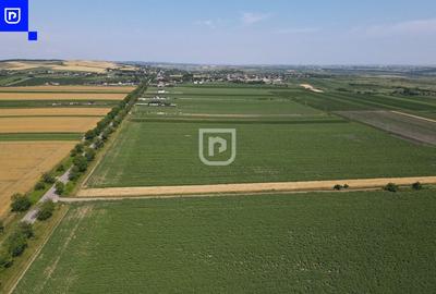 Teren agricol extravilan de 10000 mp, în Orășeni-Deal - 4