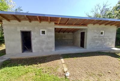 Casă individuală cu 3 camere cu Canalizare în Ciclova Română - 23