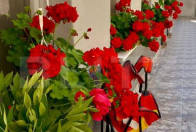 Apartament cu 2 camere, 90mp , cu curte, zona Turda Noua - 3