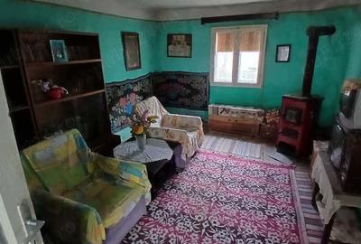 Casă cu 2 camere cu Teren 3342 Mp în Rusca - 4