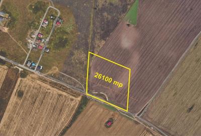 Teren Construcții intravilan de 26100 mp, în Măgurele - 3