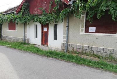 Casă cu 4 camere cu Teren 1700 Mp în Petid - 1