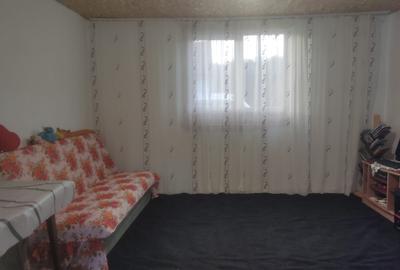 Casă cu 3 camere în Ohaba Română - 8