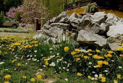 Teren pentru investitii 11.000 mp - 11