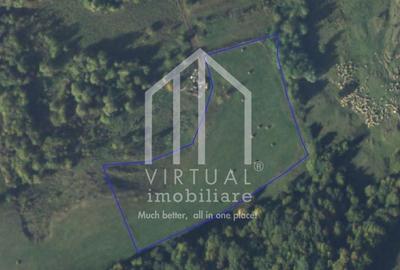 Teren extravilan de vanzare 15,600 mp zona loc... Hamba - 4