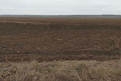 Teren de 10450 mp, în Roman - 1