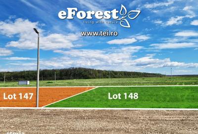 Spațiu comercial, în Crevedia - 7