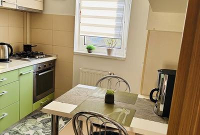 Apartament cu 2 camere decomandat în Turnișor - 5