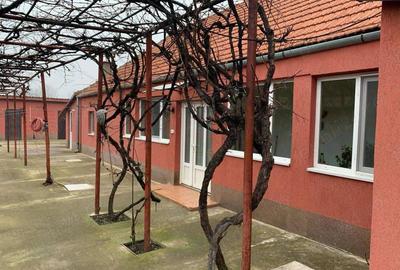 Casa de vanzare in Hodoni jud Timis Casa de vanzare in Hodoni jud Timis - 4